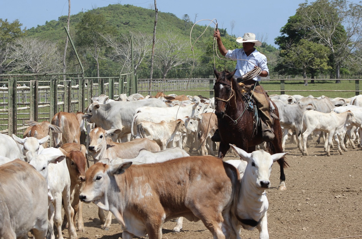 Wealth or Inheritance